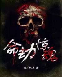 ����С˵:���پ���