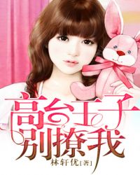 ����С˵:��̨���ӱ�����