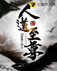 ����С˵:�˵�����