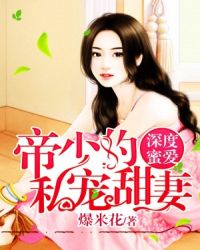 ����С˵:����۰������ٵ�˽������