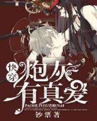 ����С˵:�촩���ڻ����氮