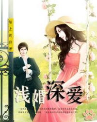 ����С˵:ǳ���