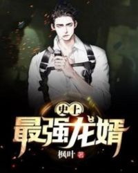 ����С˵:ʷ����ǿ����