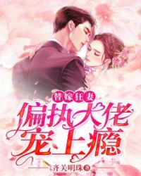 ����С˵:ƫִ���г����