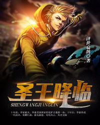 ����С˵:ʥ������