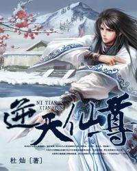 ����С˵:��������