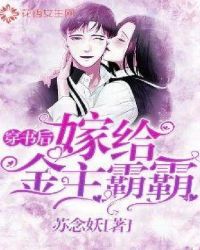 ����С˵:�����޸������԰�