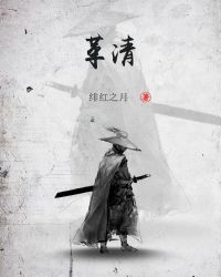 ����С˵:����