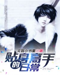 ����С˵:�������ֵ��ճ�