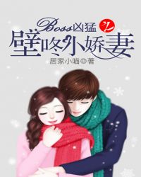 ����С˵:Boss����֮����С����