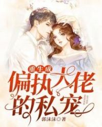 ����С˵:������ƫִ���е�˽��