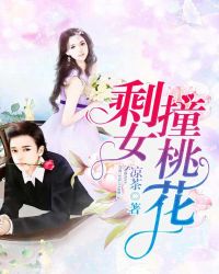 ����С˵:ʣŮײ�һ�