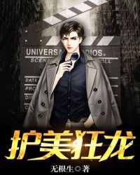 ����С˵:��������