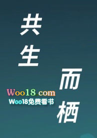 ����С˵:��������