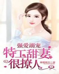 ����С˵:ǿ����裺�ع����޺�����