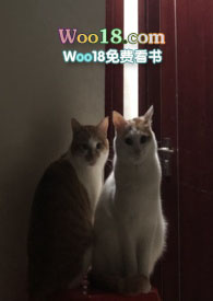 ����С˵:�߻�