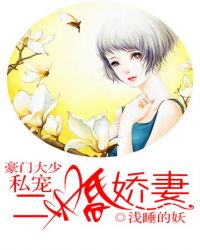 ����С˵:���Ŵ���˽����齿��