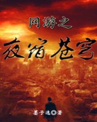 ����С˵:����֮ҹ�޲��