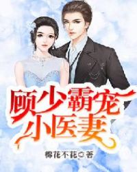 ����С˵:���ٰԳ�Сҽ��