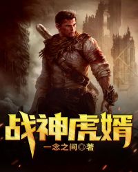 ����С˵:ս����