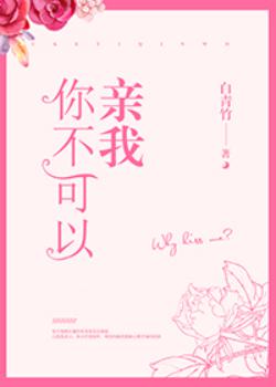 ����С˵:�㲻��������