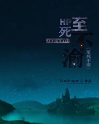 ����С˵:HP��������