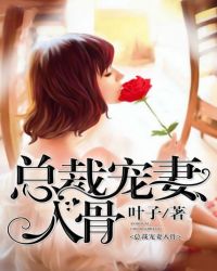 ����С˵:�ܲó������