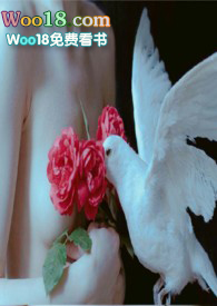 ����С˵:����