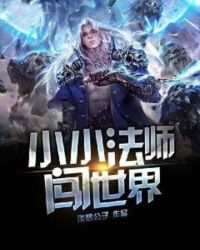 ����С˵:СС��ʦ������