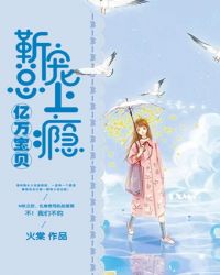 ����С˵:���򱦱������ܣ������