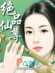 ����С˵:��Ʒ����