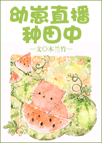 ����С˵:����ֱ��������