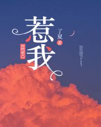 ����С˵:����