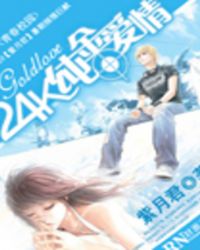 ����С˵:24K������