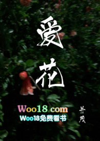 ����С˵:����