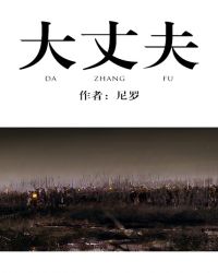 ����С˵:���ɷ�