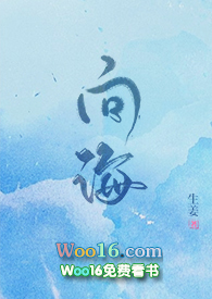 ����С˵:��