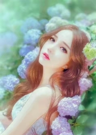 ����С˵:�����������Ҹ����£���ᣩ