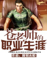 ����С˵:����ʦ��ְҵ����