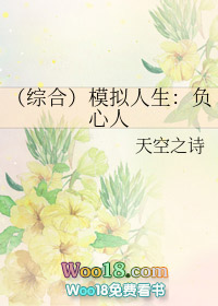 ����С˵:���ۺϣ�ģ��������������