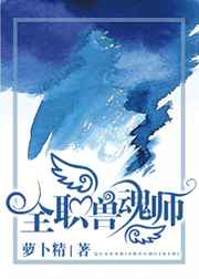 ����С˵:ȫְ�޻�ʦ ���+����