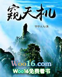 ����С˵:�����