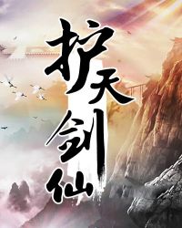 ����С˵:���콣��