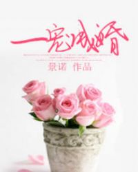 ����С˵:һ��ɻ�