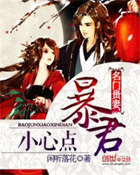 ����С˵:���Ź��ޣ�����С�ĵ�