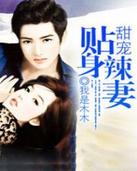 ����С˵:�����������