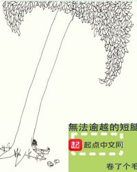 ����С˵:�޷���Խ�Ķ���