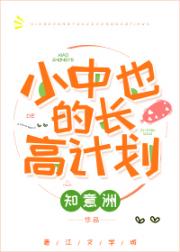 ����С˵:[����ͬ��]С��Ҳ�ĳ��߼ƻ�