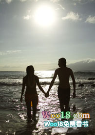 ����С˵:�����������������磨NP��