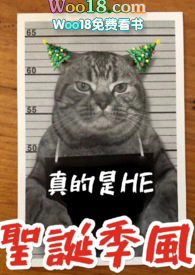 ����С˵:ʥ�����硾����1V1��